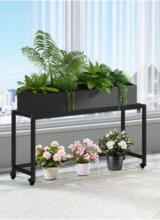 مقاس أسود-L