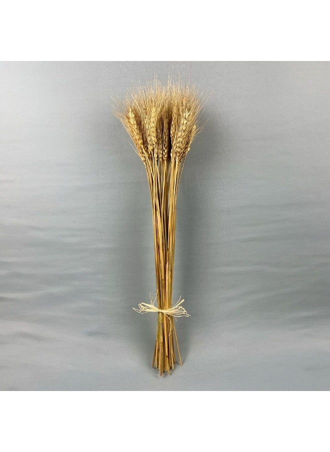 DANUBE HOME Danube Home Fleur Wheat Grass Natural Flower Decoration - 45Cm Preserved Dried Flowers For Home Decor Rustic Bohemian Style Natural Brown Floral Bouquet Decorative Home Accessories 