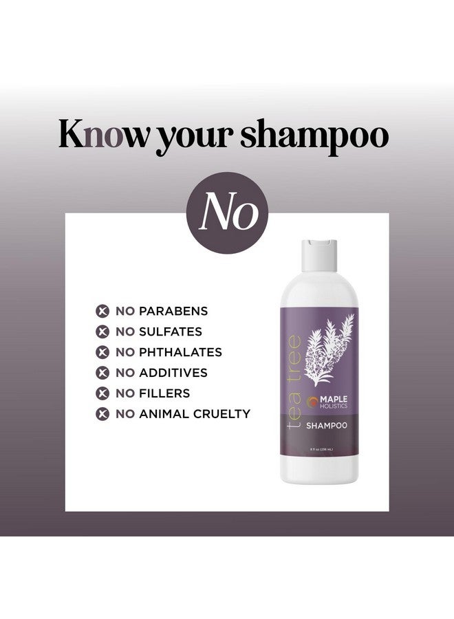 مايبل هوليستكس شامبو شجرة الشاي للشعر الدهني - شامبو منقي خالٍ من البارابين والكبريتات لفروة الرأس المتراكمة والجافة مع زيت شجرة الشاي للشعر - شامبو زيت شجرة الشاي العطري المنقي للشعر الدهني - Image 4