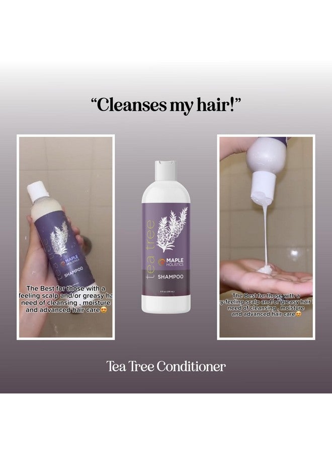 مايبل هوليستكس شامبو شجرة الشاي للشعر الدهني - شامبو منقي خالٍ من البارابين والكبريتات لفروة الرأس المتراكمة والجافة مع زيت شجرة الشاي للشعر - شامبو زيت شجرة الشاي العطري المنقي للشعر الدهني - Image 2