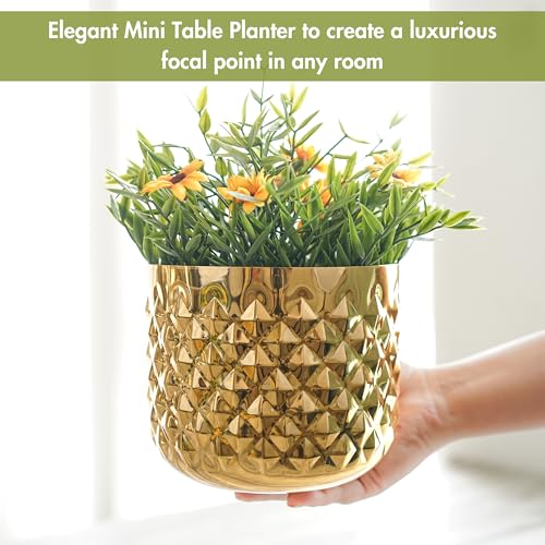 BEHOMA Metal Indoor Pineapple Texture Golden Planter, Modern Plant Pot for Living Room Balcony Office Decor Ideal Gifting for Birthday, Anniversary, Size H- 5" x Dia. 6" inch (Plants not Included) - Image 5