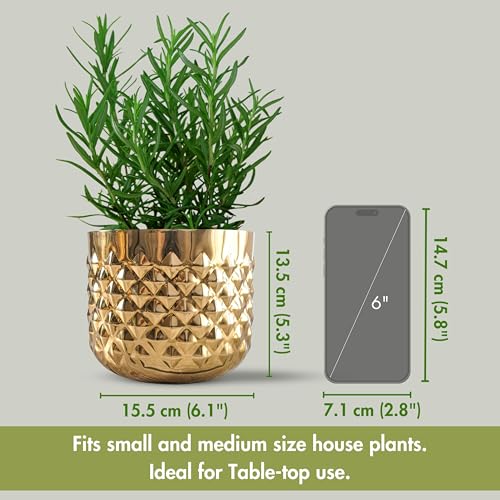 BEHOMA Metal Indoor Pineapple Texture Golden Planter, Modern Plant Pot for Living Room Balcony Office Decor Ideal Gifting for Birthday, Anniversary, Size H- 5" x Dia. 6" inch (Plants not Included) - Image 3