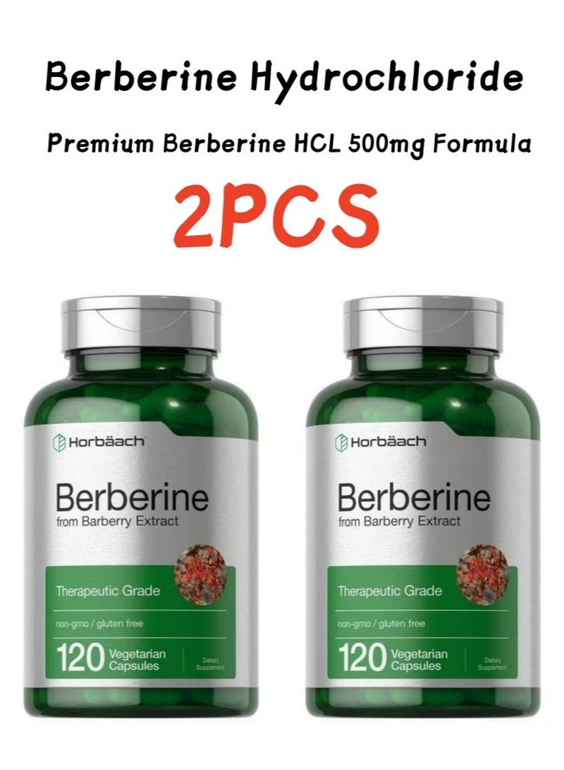Horbäach Horbaach Berberine HCL Supplement | 2000mg | 120 Capsules | Barberry Extract | Non-GMO, Gluten Free - Image 1