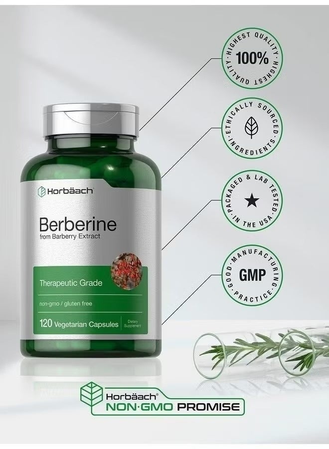 Horbäach Horbaach Berberine HCL Supplement | 2000mg | 120 Capsules | Barberry Extract | Non-GMO, Gluten Free - Image 3