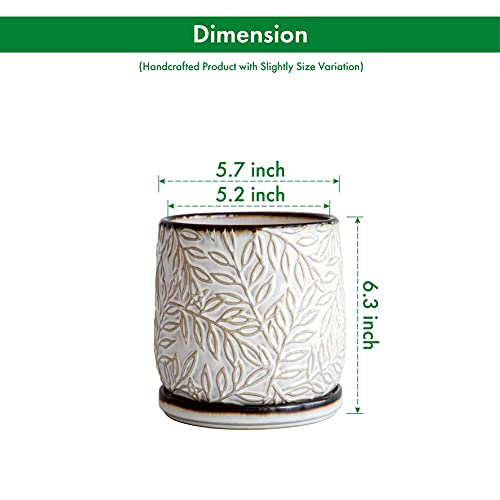 D'vine Dev 6 Inch Embossed Leaves Stoneware Planter Pot with Drainage Hole and Saucer, Smoked White, Set of 1, 27-A-X-1 - Image 3