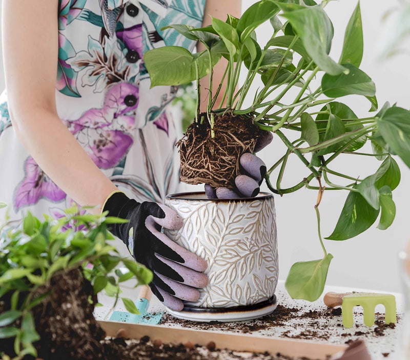 D'vine Dev 6 Inch Embossed Leaves Stoneware Planter Pot with Drainage Hole and Saucer, Smoked White, Set of 1, 27-A-X-1 - Image 2