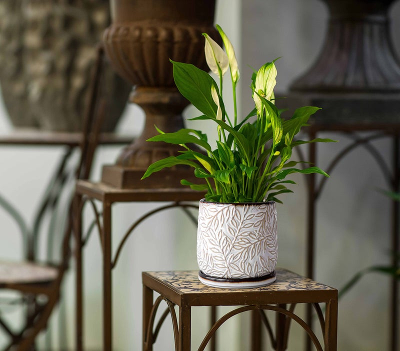 D'vine Dev 6 Inch Embossed Leaves Stoneware Planter Pot with Drainage Hole and Saucer, Smoked White, Set of 1, 27-A-X-1 - Image 5