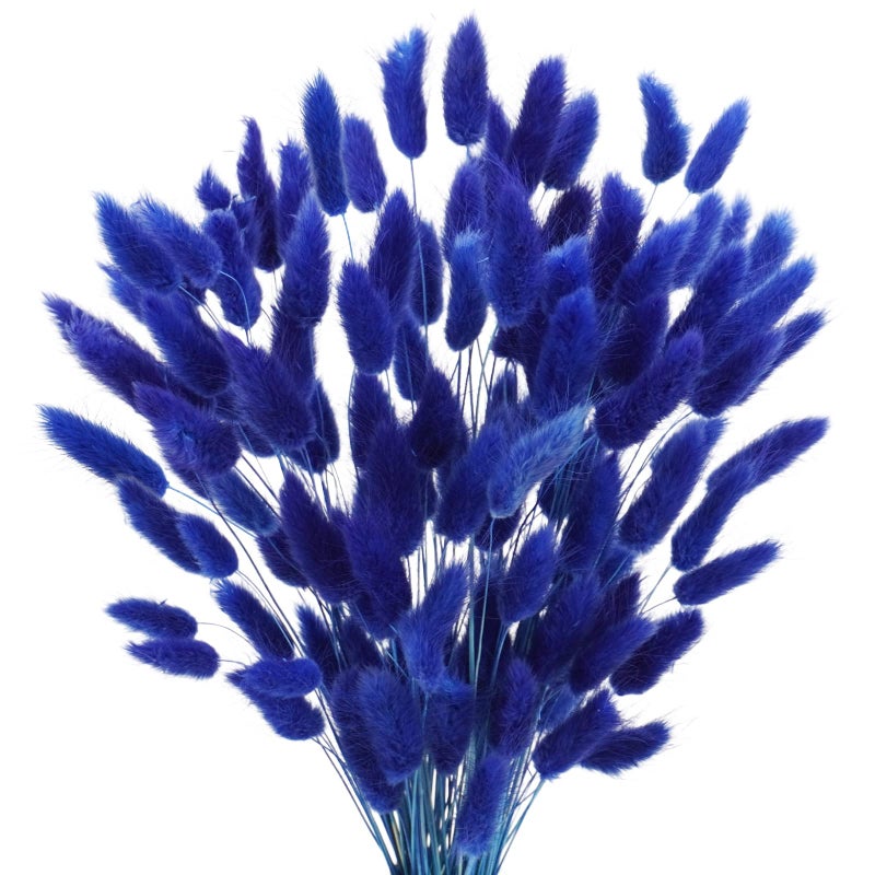 Uieke 17â€™â€™ Natural Bunny Tails Dried Flowers, 120 Pcs Dried Lagurus Ovatus, Dried Blue Pampas Grass Decor for Farmhouse Flower Arrangements Wedding Home Party Decorations - Image 1