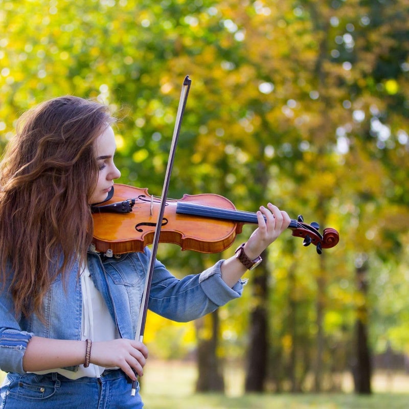 Mocking Bird 4/4 Full Size Violin Bow – Lightweight, Durable Wooden Bow with Natural Horsehair for Student and Professional Use Violin Bow Horse hair for All types of Violin/Viola - Image 5