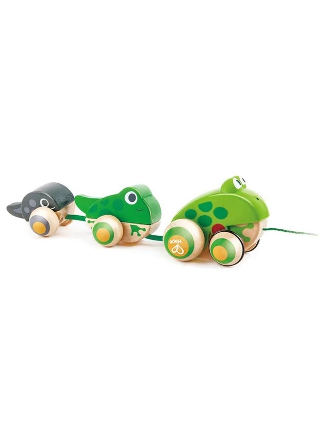 Hape Hape Frog Family Pull-Along Toy (35.5 x 11.3 x 9.5 cm)  - Image 3