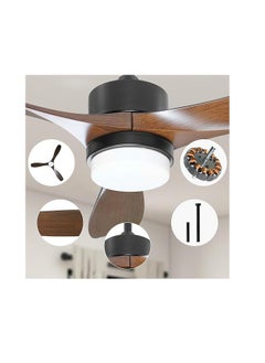 SUN SHINE Ceiling Fan with Lights and Remote  - Image 3