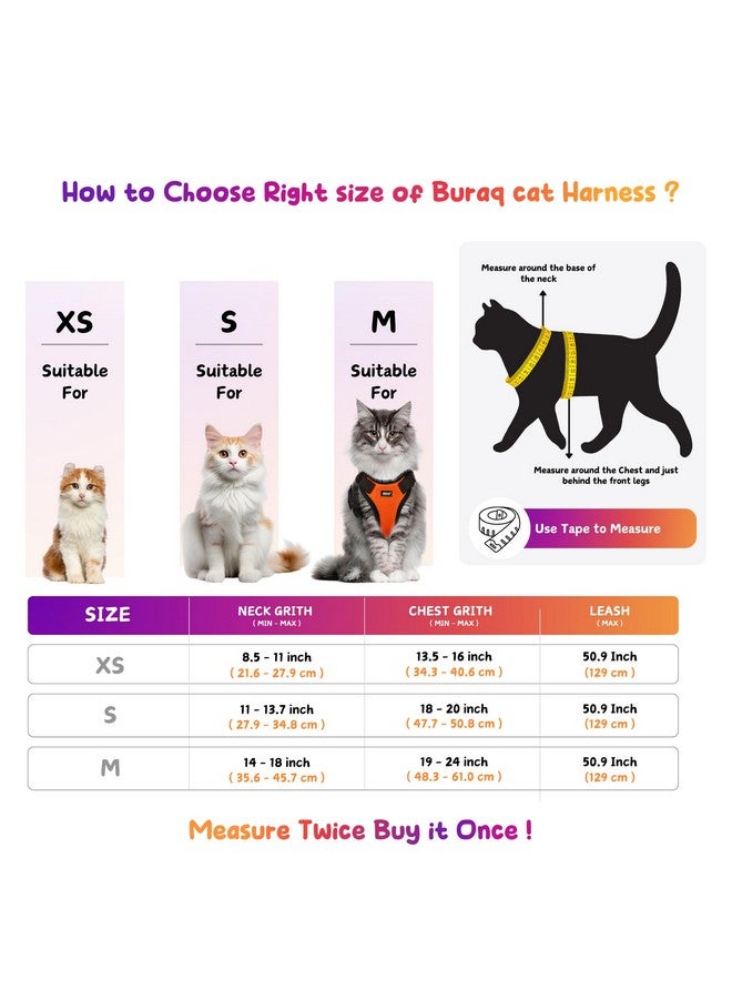 Buraq Pets Cat Harness with Leash for Outdoor, Walking, Escape Proof, Air Mesh Fabric, Easy Control, Adjustable & Durable Cat Leash with Harness for Small Medium & Large Cats (XS - Black) - Image 4