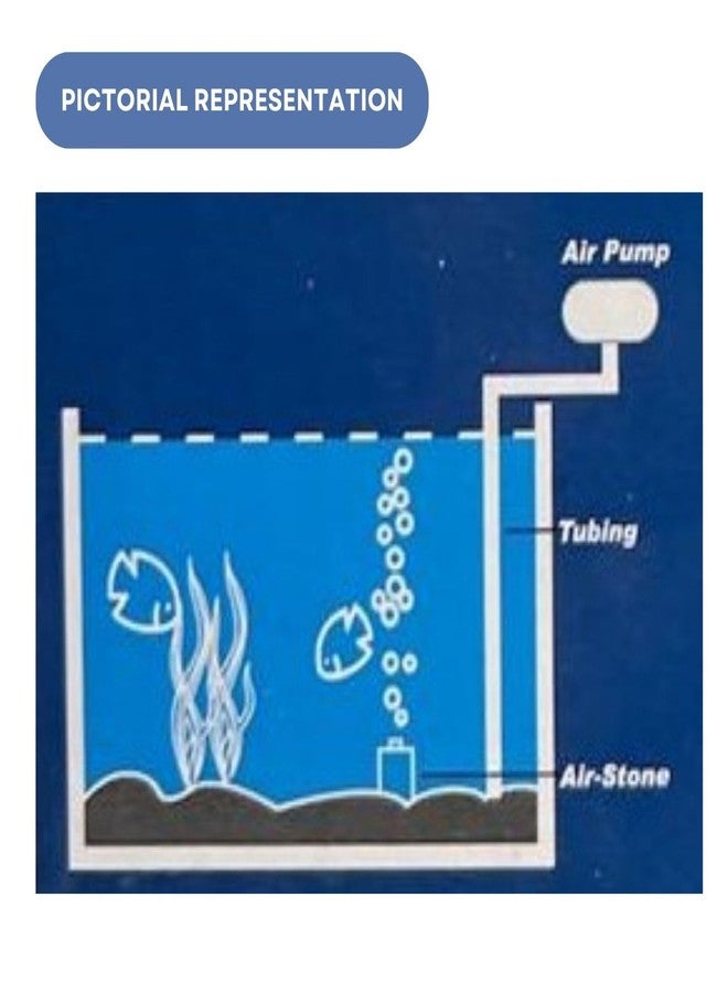 مضخة هواء دوفين AP1500 لأحواض السمك | مخرج واحد | معدل التدفق: 600 سم مكعب/دقيقة | مناسبة لأحواض السمك بحجم 30-60 لترًا | (أصلية من متجر توناي) - Image 4