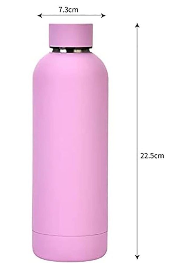 Generic - Double Wall Insulated Stainless Steel Sports Water Bottle with Handle, Leak Proof Water Bottle, 500ml - Image 1
