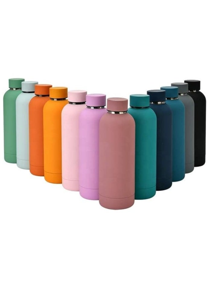 Generic - Double Wall Insulated Stainless Steel Sports Water Bottle with Handle, Leak Proof Water Bottle, 500ml - Image 1