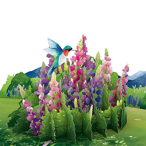 Lovepop Lupine Hummingbird Pop-Up Card - Hummingbird Pop-Up Greeting Cards - 3D Birthday Card - 5" x 7" - Envelope Included - Image 2