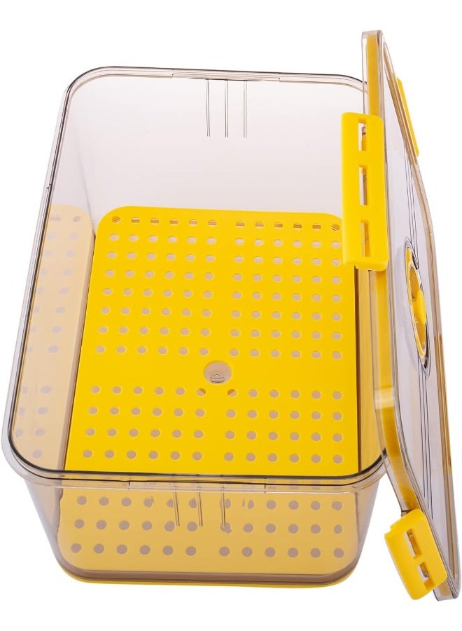 AKDC Rect Storage Box L L(23cm) xW(32cm) xH(15cm) Transparent - Image 2