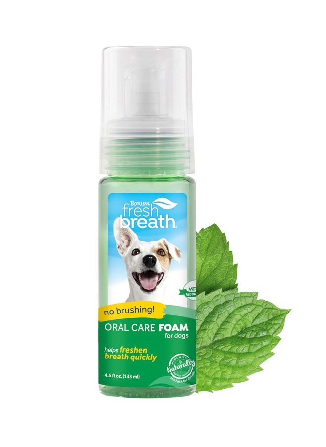 TropiClean - TropiClean Fresh Breath Foam for Dogs & Cats | Cat & Dog Dental Foam| Dog Breath Freshener Foam| Oral Care for Dogs & Cats | Made in The USA | 4.5 oz - Image 1