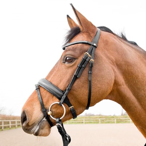 HORZE Soft Elastic Horse Rein-Aid Inserts | Rein Extensions to Improve Horseback Riding Contact - Black - One Size - Image 2