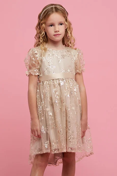 أر أند بي Sequined Dress with Crew Neck and Ruffle Sleeves
