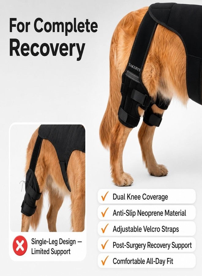 TAKERYS Dog Knee Brace for Back Leg Support - Adjustable Dog Leg Stabilizer with Hip Support, Comfortable Mobility & Joint Support for Small, Medium & Large Dogs (M) - Image 5