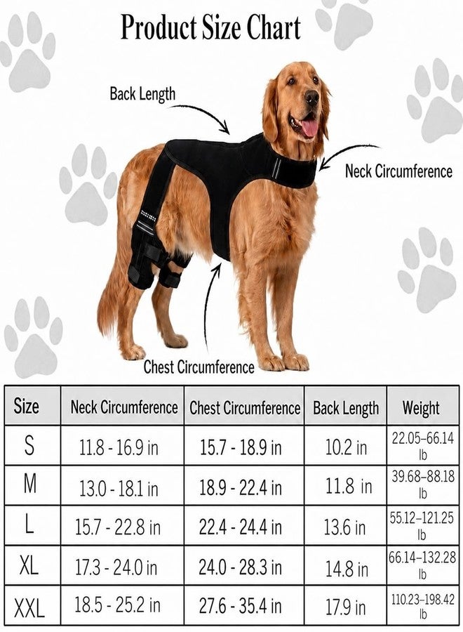 TAKERYS Dog Knee Brace for Back Leg Support - Adjustable Dog Leg Stabilizer with Hip Support, Comfortable Mobility & Joint Support for Small, Medium & Large Dogs (M) - Image 2