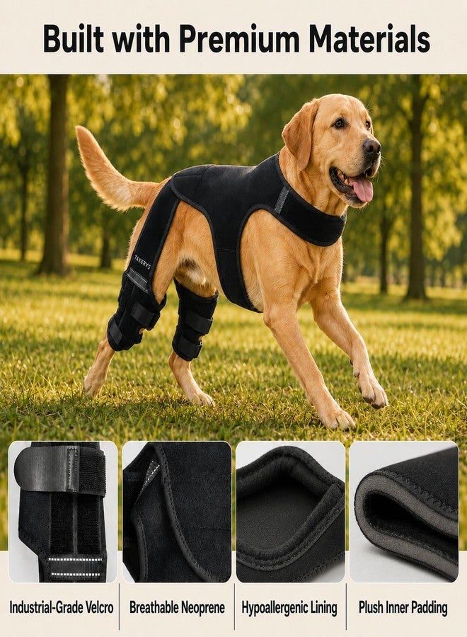 TAKERYS Dog Knee Brace for Back Leg Support - Adjustable Dog Leg Stabilizer with Hip Support, Comfortable Mobility & Joint Support for Small, Medium & Large Dogs (M) - Image 4