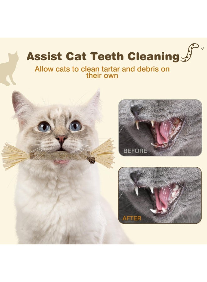 4 Pack Silvervine Sticks for Cats - Cat Chew Toy for Teeth Cleaning, Edible Matatabi Kitty Chew Sticks, Catnip Cat Toys for Indoor Cats (4 Sticks) - Image 5