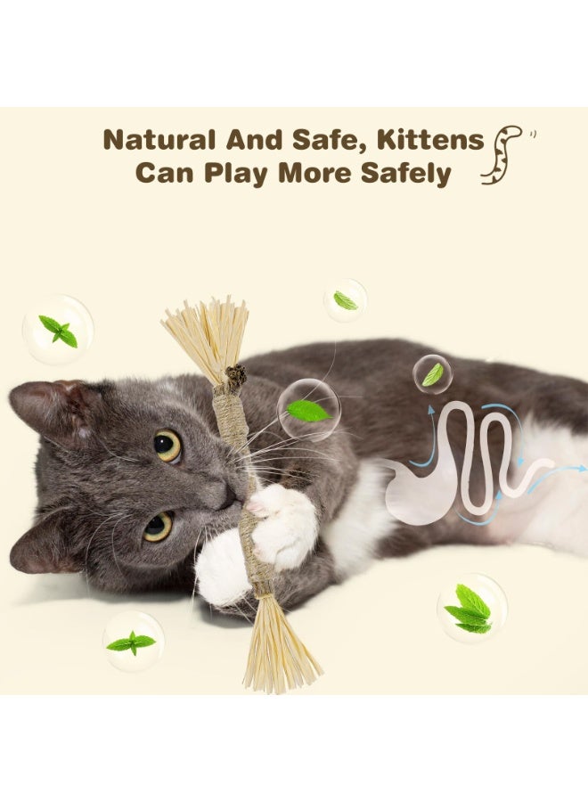 4 Pack Silvervine Sticks for Cats - Cat Chew Toy for Teeth Cleaning, Edible Matatabi Kitty Chew Sticks, Catnip Cat Toys for Indoor Cats (4 Sticks) - Image 3