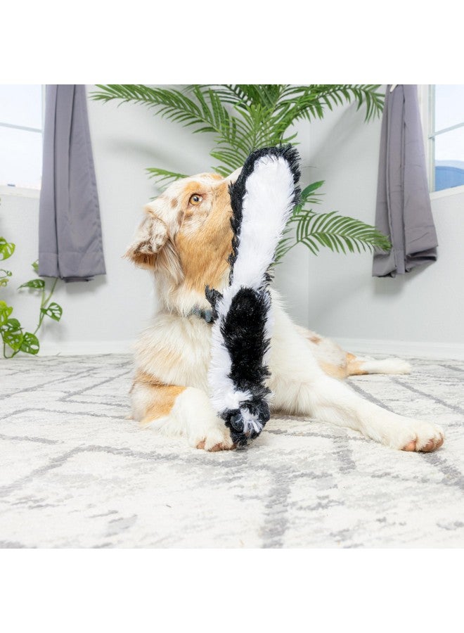 سبوت Mini Skinneeez | لعبة كلاب بدون حشو مع صرير لجميع الكلاب | لعبة شد الحبل للسلالات الصغيرة والكبيرة | 14 بوصة | تصميم Skunk | من Ethical Pet - Image 2