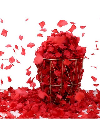 1000PCS Silk Rose Petals Artificial Fabric Flower Petals for Wedding Decor Ceremony Vase Home Hotel Garden Bouquet Party Decoration(Red) - pzsku/Z8DD483089C995F5D1EB3Z/45/_/1727488429/6d237f5a-7d3f-4775-971a-78f6bf74a09a
