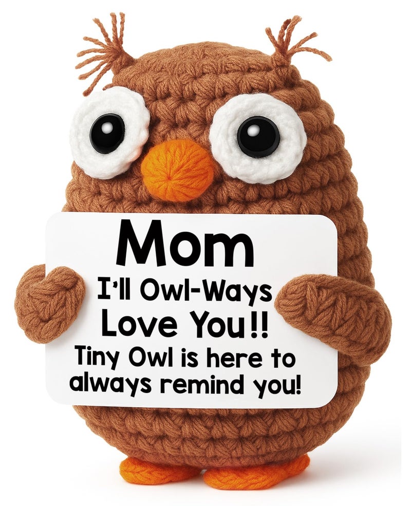 Hweijm Mini Owl Gifts for Mom from Daughter Son, Mothers Day Birthday Gifts for Mom Mommy Bonus Mom Step Mom Mother in Law, Handmade Crochet Animals for Mom, Cute Small Owl Gifts for Mom - Image 1