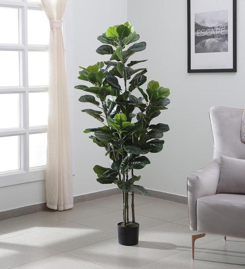 Home Bloom 6ft Artificial Plant Fiddle Leaf Fig Tree Fake Tree in Pot Natural Faux Tree with Home Dcor Ficus Lyrata Greenery Plant Indoor Outdoor Decor for House Home Office Green - Image 4