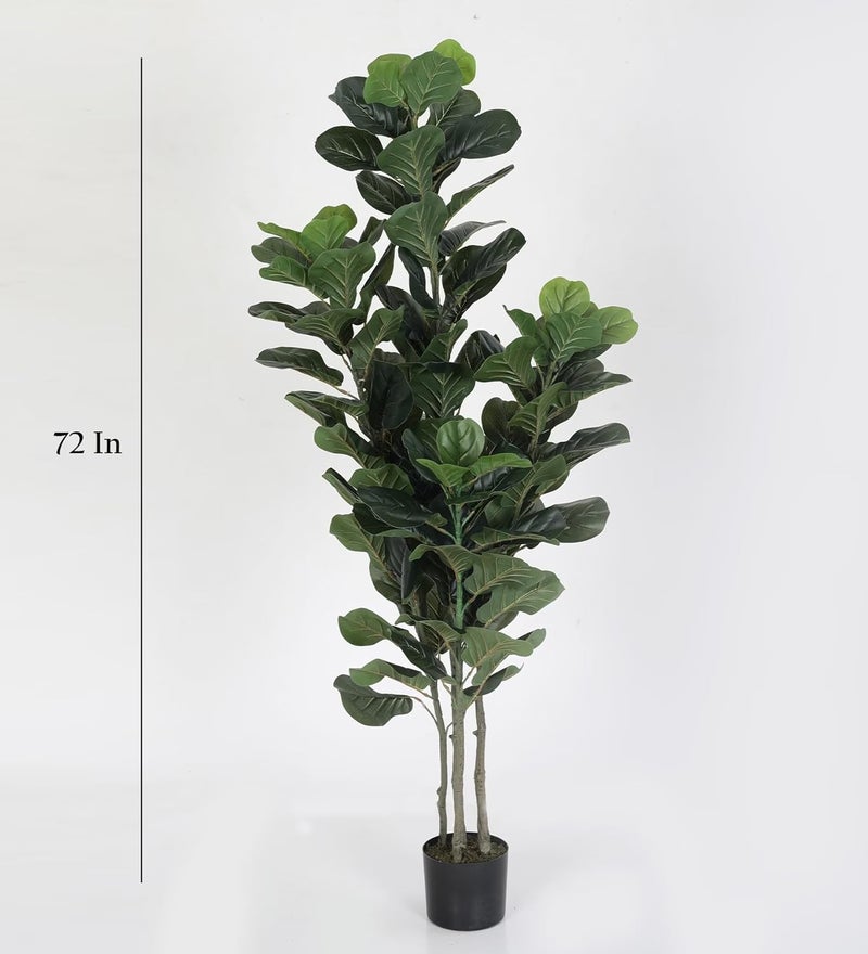 Home Bloom 6ft Artificial Plant Fiddle Leaf Fig Tree Fake Tree in Pot Natural Faux Tree with Home Dcor Ficus Lyrata Greenery Plant Indoor Outdoor Decor for House Home Office Green - Image 3