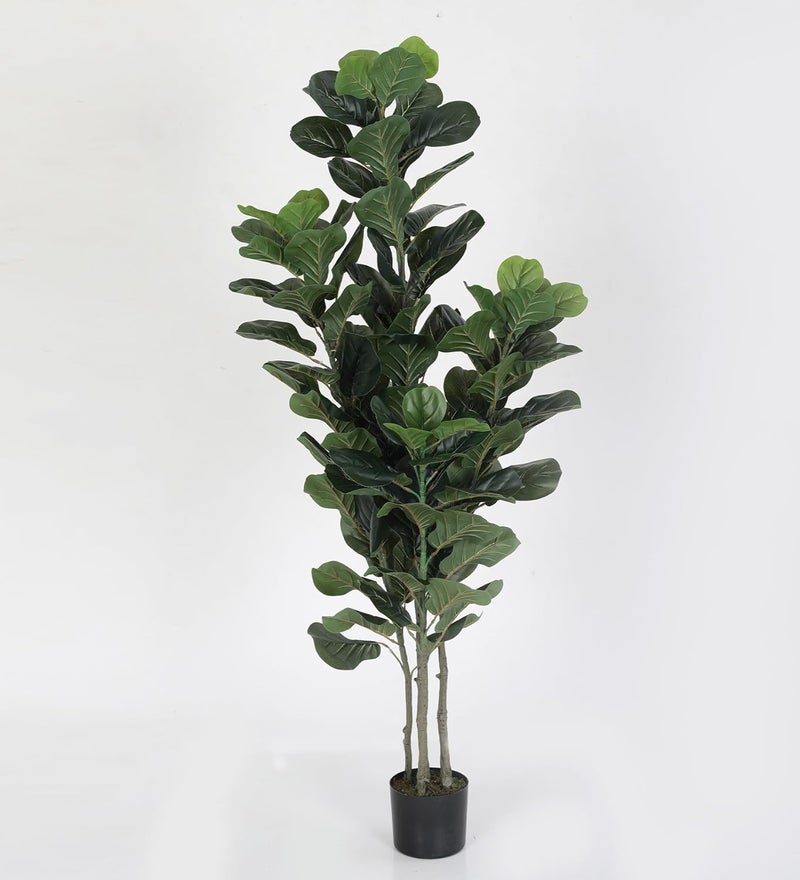 Home Bloom 6ft Artificial Plant Fiddle Leaf Fig Tree Fake Tree in Pot Natural Faux Tree with Home Dcor Ficus Lyrata Greenery Plant Indoor Outdoor Decor for House Home Office Green - Image 1