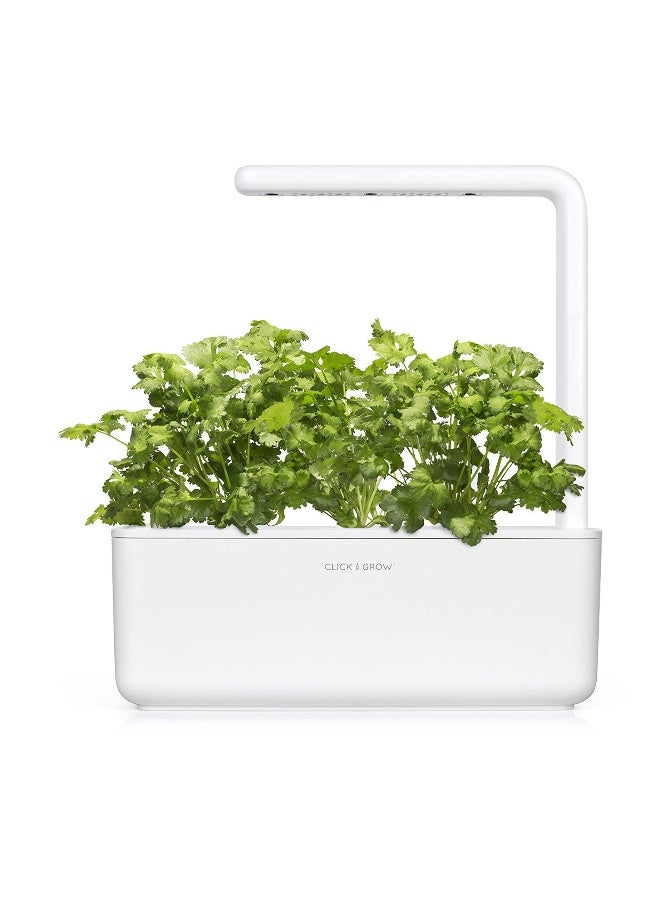 click 3Piece Edible Cilantro With Coriander Plant Pod Set SGR45X3  - Image 4