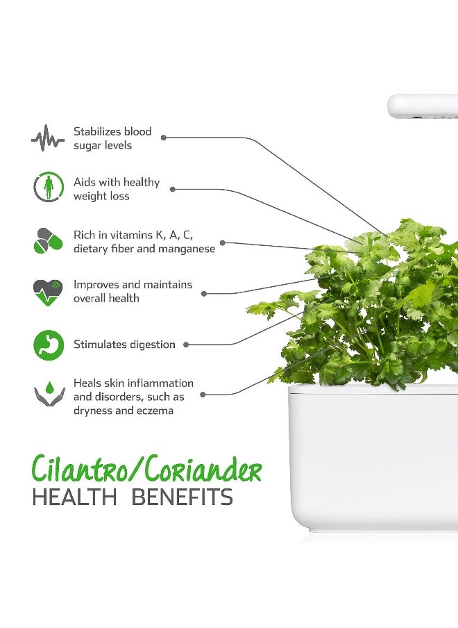 click 3Piece Edible Cilantro With Coriander Plant Pod Set SGR45X3  - Image 5