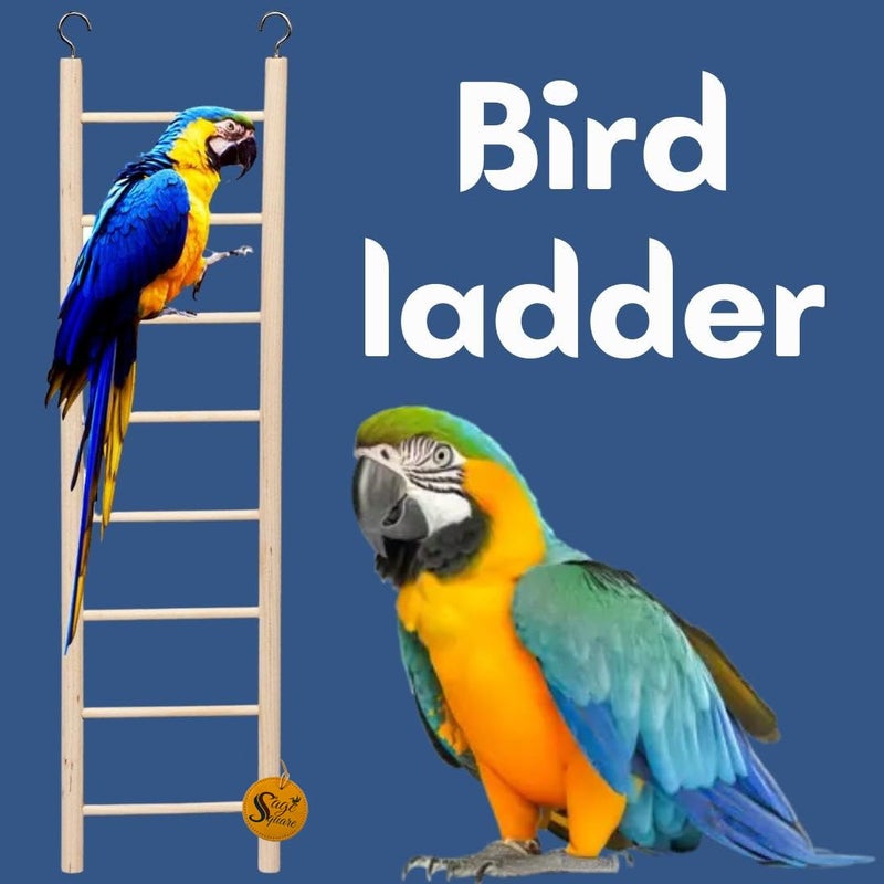 Sage Square لعبة سلم تسلق خشبي طبيعي مرحة للتمرين والمرح، مع خطافات، للطيور، الببغاوات، البادجي وغيرها من الطيور الصغيرة والمتوسطة والكبيرة (تصميم 6) - Image 2
