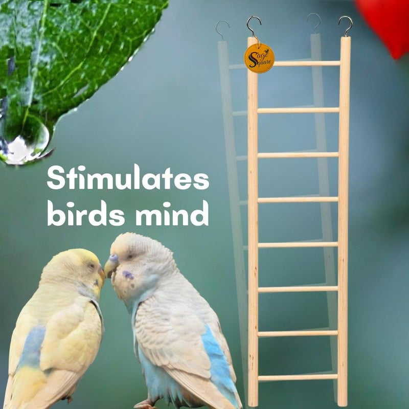 Sage Square لعبة سلم تسلق خشبي طبيعي مرحة للتمرين والمرح، مع خطافات، للطيور، الببغاوات، البادجي وغيرها من الطيور الصغيرة والمتوسطة والكبيرة (تصميم 6) - Image 5
