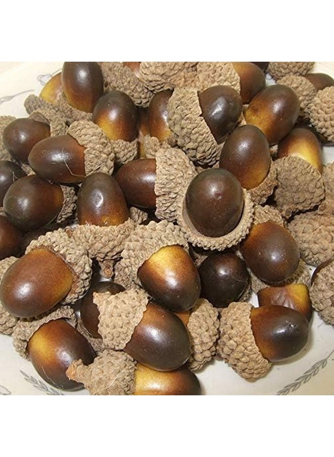 ONWON 100Pcs Simulation Artificial Lifelike Small Acorn With Natural Acorn Cap For Diy Decoration Crafting Home House Kitchen Decor - Fake Fruit Props Acorns  - Image 4