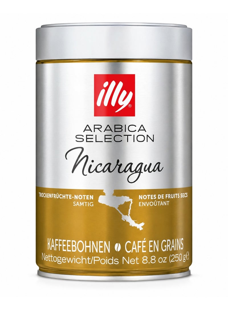 Illy Arabica Selection Nicaragua Coffee Beans 250g - Image 1
