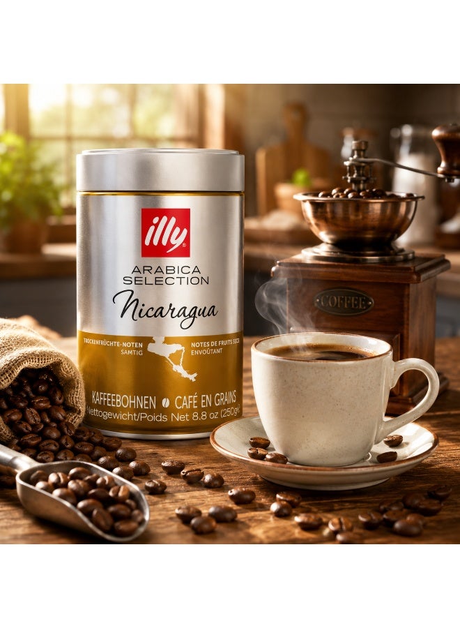 Illy Arabica Selection Nicaragua Coffee Beans 250g - Image 2