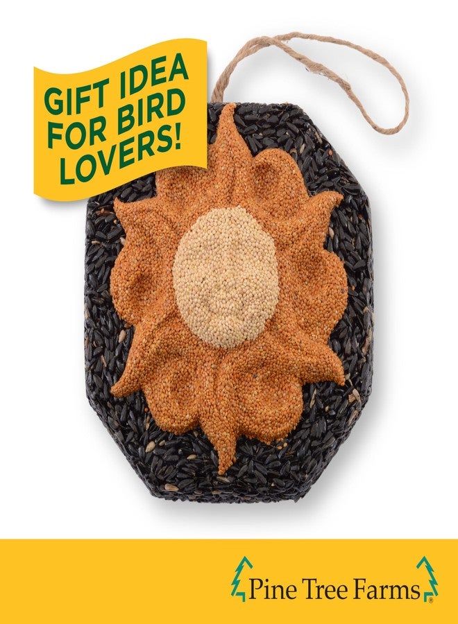 Pine Tree Farms PTF1362 Sun Wreath - Image 4