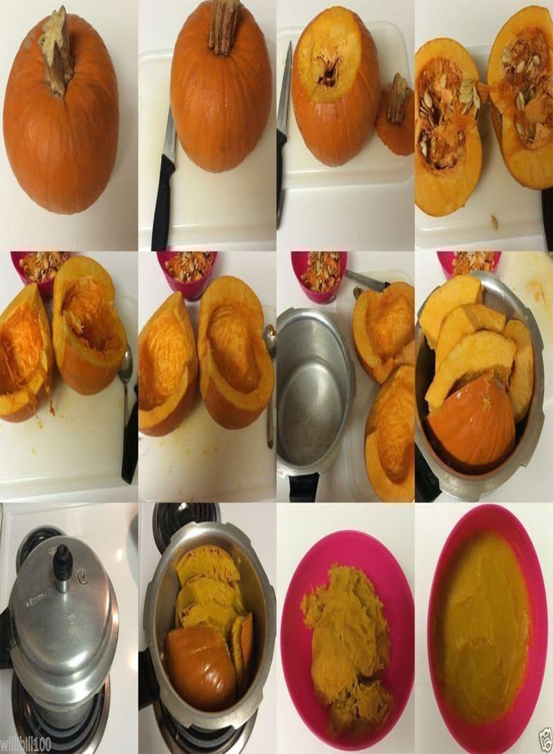 GGOOT Pumpkin, Small Sugar - (25 Seeds) Heirloom,New England Pie, Sugar Pumpkin - Image 2