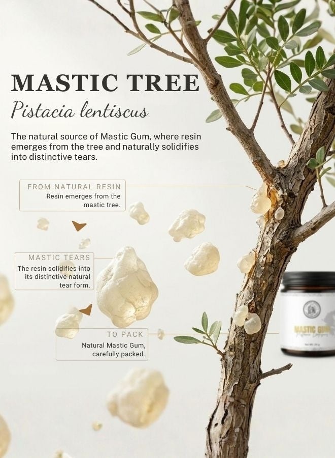 AWAFI MILL Mastic Gum 28g | Mastaki Rumi Natural Resin - Image 3