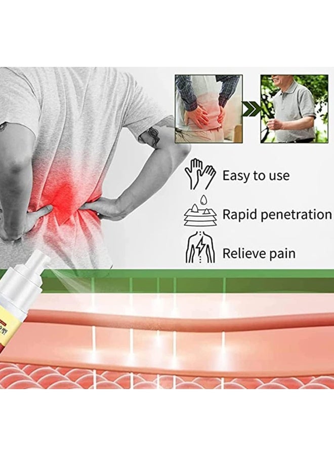 Lumbar Spine Cold Gel Spray for Back and Joint Pain Relief - Natural Herbal Formula (2pcs) - Image 5