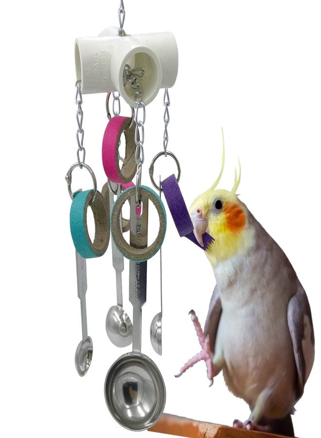 GILYGI Durable Bird Parrots Scoops and Bagel Toys, Pullable Stainless Steel Spoon and Cardboard Ring Toys for Small and Medium Bird Parakeets, Cockatiels, Conures, Budgie, Lovebirds, Finches - Image 1