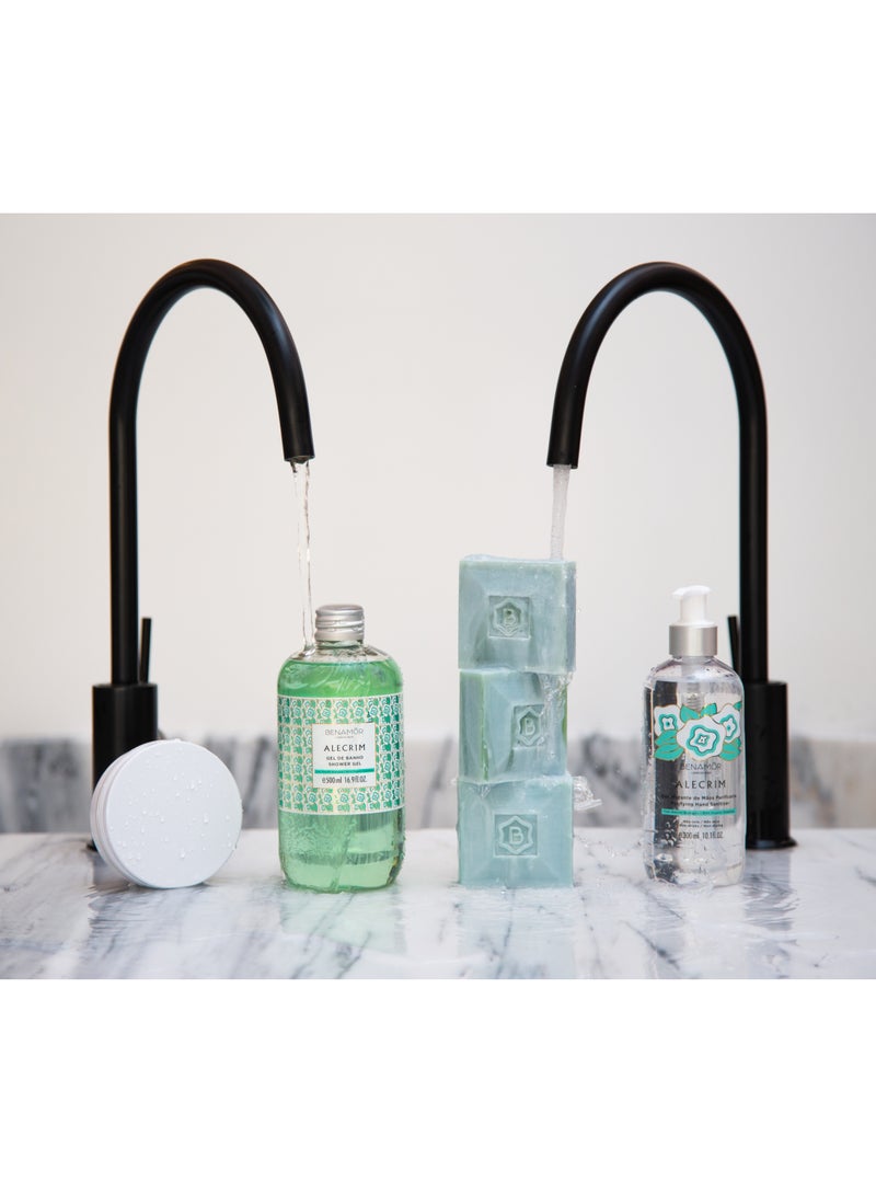 BENAMÕR Alecrim Hand Sanitizer with Glycerin – Refreshing No-Rinse Formula for Soft, Clean Hands – Daily Hand Hygiene – 300ml - Image 2