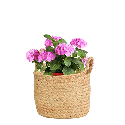 LaVichitra Braided Jute Baskets | Storage Bins Organizer | Laundry, Toys & Planter Basket- Set of 2 (6x8 Inch) - Image 2