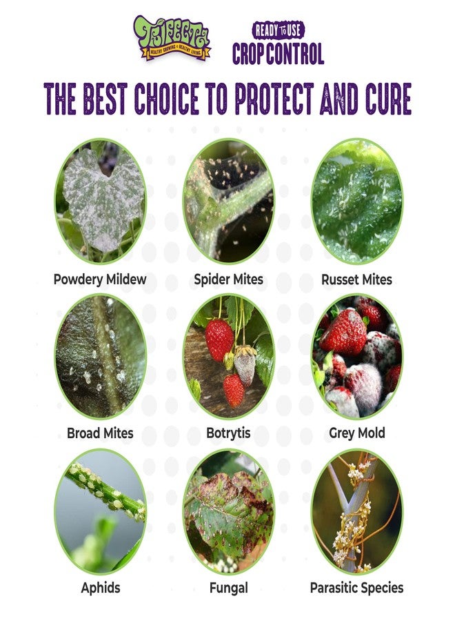 Trifecta Crop Control Ready to Use Maximum Strength Natural Pesticide, Fungicide, Miticide, Insecticide, Help Defeat Spider Mites, Powdery Mildew, Botrytis and Mold on Plants 32 OZ Size - Image 3